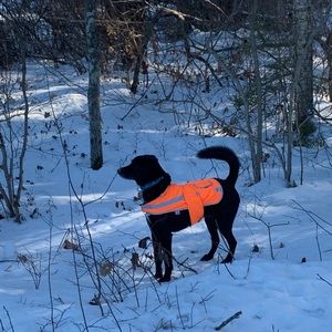 Meet your Posher, Jeanmarie